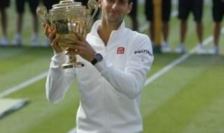 2017温网德约科维奇